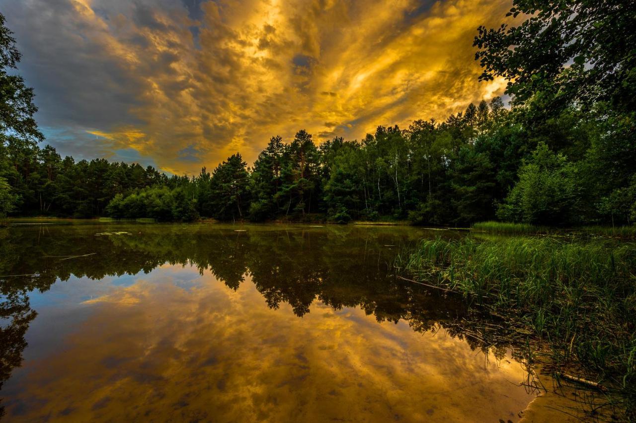Wohnambiente Am See Fassberg ภายนอก รูปภาพ